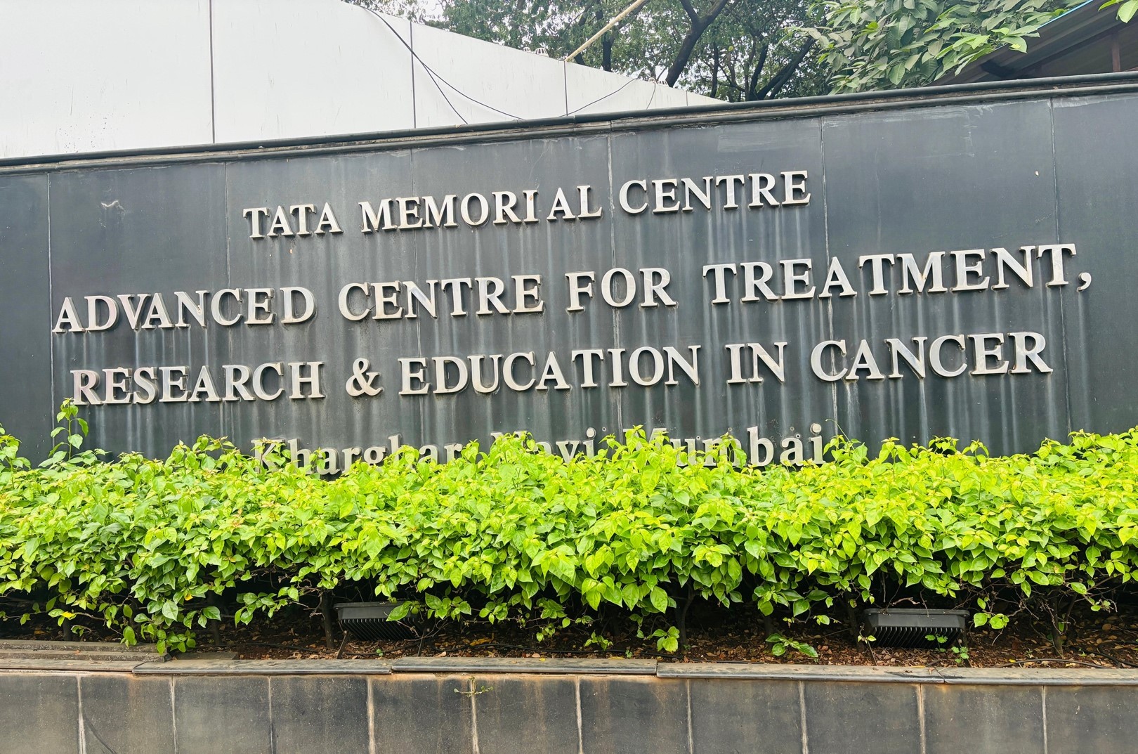 Andrology Fertility and Sexual Health Concerns in Young Testis Cancer Survivors