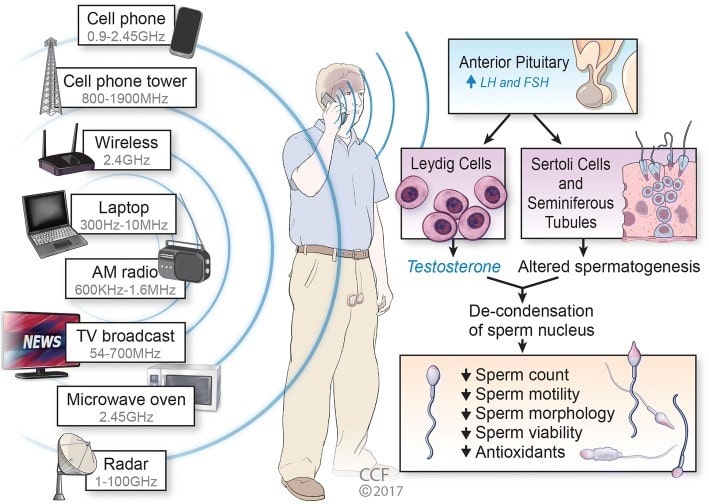 Azoospermia Treatment in Bangalore