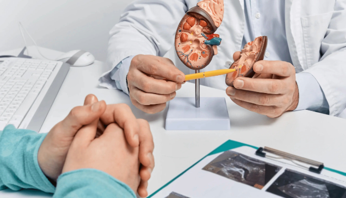 Male Fertility and Urological Health: Complete Guide with Dr. Pramod Krishnappa at Orchidz Health, Bangalore